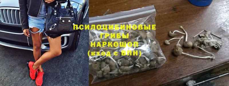 площадка какой сайт  Луховицы  Псилоцибиновые грибы MAGIC MUSHROOMS 